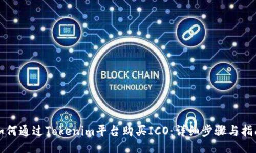 如何通过Tokenim平台购买ICO：详细步骤与指南
