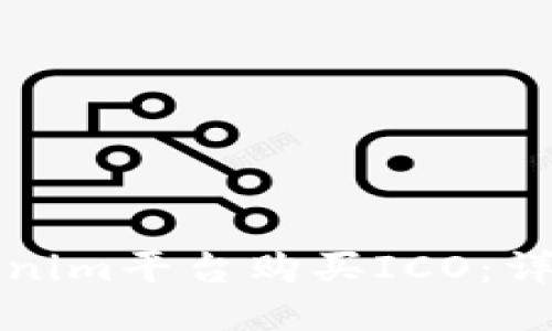如何通过Tokenim平台购买ICO：详细步骤与指南