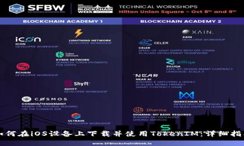 如何在iOS设备上下载并使用TokenIM：详细指南