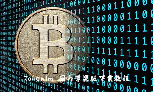 Tokenim 国内苹果版下载教程