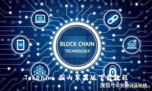 Tokenim 国内苹果版下载教程