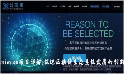 Tokenimico项目详解：促进区块链生态系统发展的创新平台