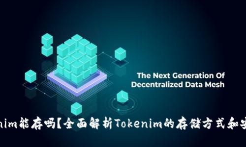 Tokenim能存吗？全面解析Tokenim的存储方式和安全性