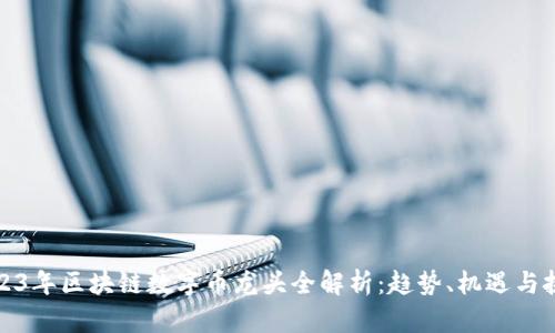 2023年区块链数字币龙头全解析：趋势、机遇与挑战