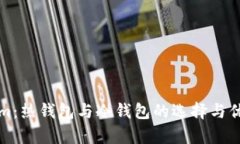 Tokenim：热钱包与冷钱包的