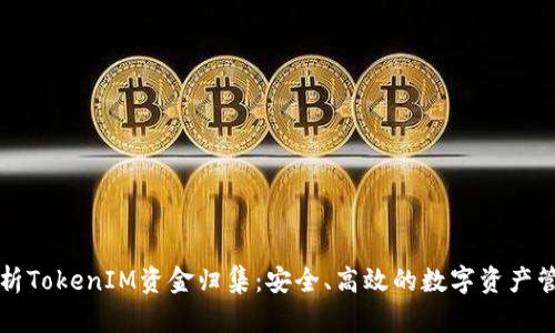 深入解析TokenIM资金归集：安全、高效的数字资产管理方案