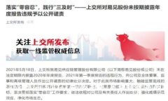 探索Tokenim与VToken的未来：