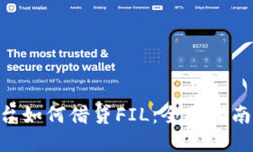 Tokenim平台如何借贷FIL：全面指南与实用技巧
