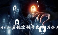深度解析Tokenim系统定制开