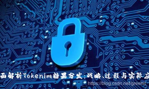 全面解析Tokenim糖果分发：战略、过程与实际应用