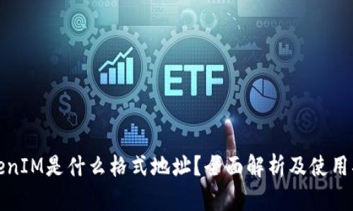 TokenIM是什么格式地址？全面解析及使用指南