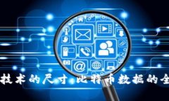 区块链技术的尺寸：比特