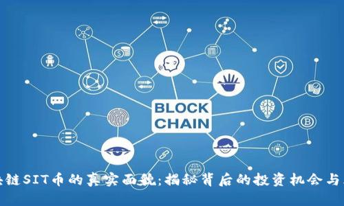 区块链SIT币的真实面貌：揭秘背后的投资机会与风险