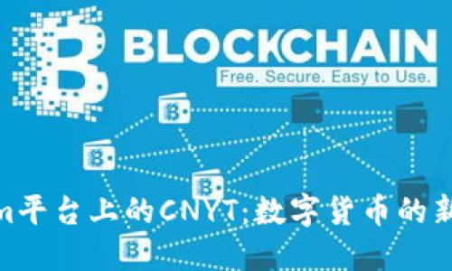 探索Tokenim平台上的CNYT：数字货币的新趋势与机遇