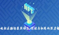 高晓松区块链最新动态：