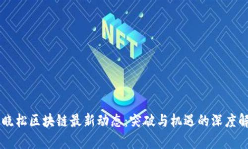 高晓松区块链最新动态：突破与机遇的深度解析