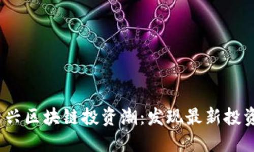 2023年新兴区块链投资潮：发现最新投资者与趋势