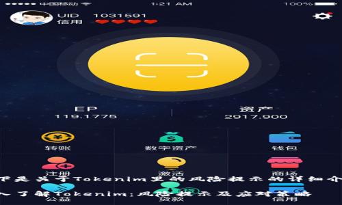 以下是关于Tokenim里的风险提示的详细介绍。

深入了解Tokenim：风险提示及应对策略