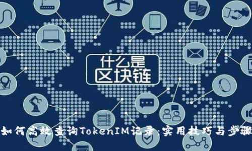如何高效查询TokenIM记录：实用技巧与步骤