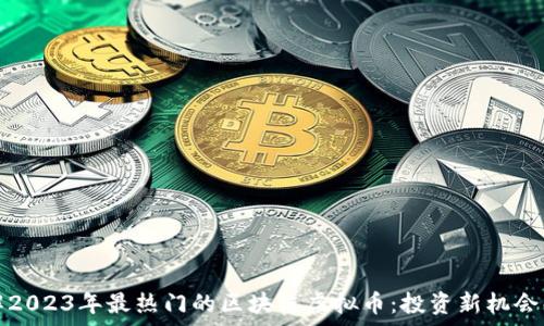   
了解2023年最热门的区块链虚拟币：投资新机会解析