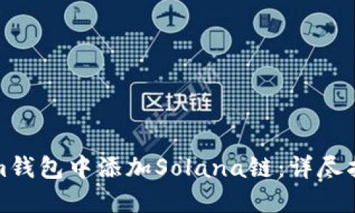 如何在Tokenim钱包中添加Solana链：详尽指南与实用技巧
