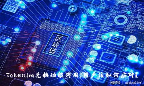 Tokenim兑换功能停用，用户该如何应对？