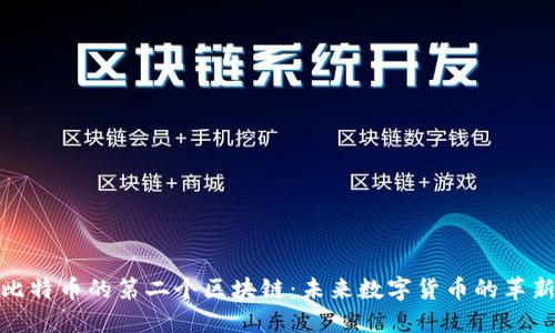 探索比特币的第二个区块链：未来数字货币的革新之路