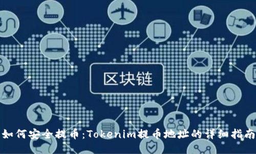如何安全提币：Tokenim提币地址的详细指南