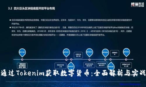 如何通过Tokenim获取数字货币：全面解析与实战指南