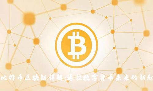 比特币区块链详解：通往数字货币未来的钥匙