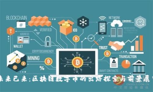未来已来：区块链数字币的出路探索与前景展望