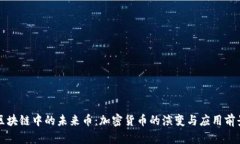 区块链中的未来币：加密