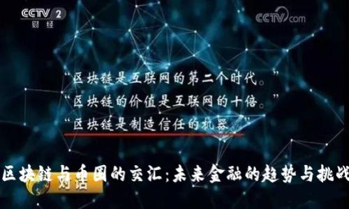 区块链与币圈的交汇：未来金融的趋势与挑战