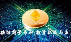 2023年区块链前景币种：投