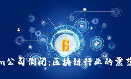 Tokenim公司倒闭：区块链行业的震荡与反思