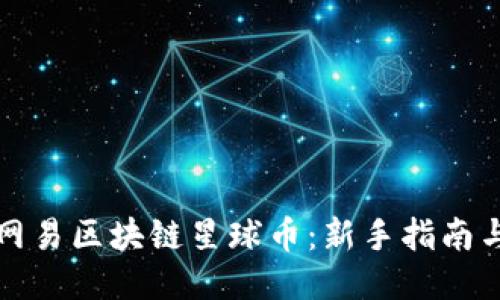 如何获得网易区块链星球币：新手指南与技巧分享