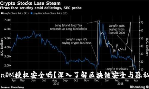 TokenIM授权安全吗？深入了解区块链安全与隐私保护