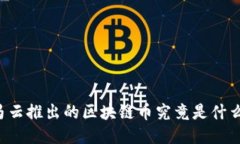 马云推出的区块链币究竟