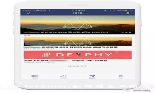 误将TST转入Tokenim：如何避免风险与解决问题