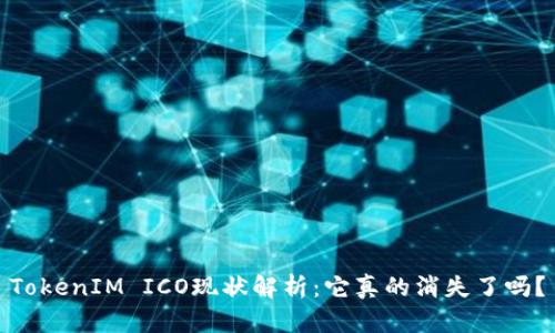 TokenIM ICO现状解析：它真的消失了吗？