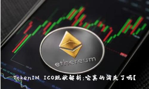 TokenIM ICO现状解析：它真的消失了吗？