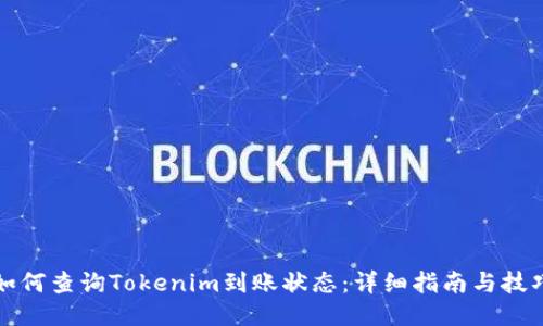 如何查询Tokenim到账状态：详细指南与技巧