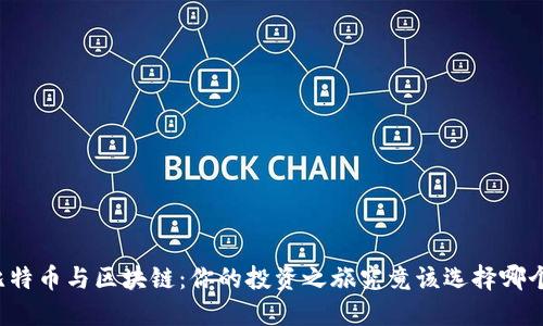 比特币与区块链：你的投资之旅究竟该选择哪个？