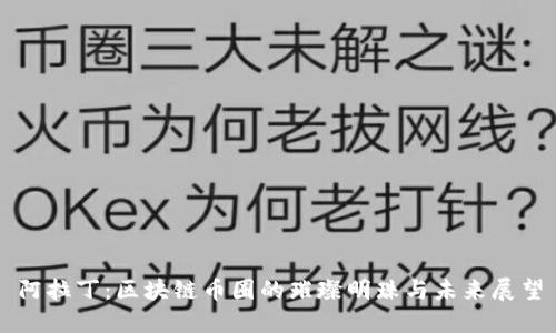 阿拉丁：区块链币圈的璀璨明珠与未来展望