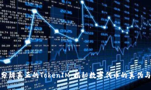 如何分辨真正的TokenIM：揭秘数字代币的真伪与价值