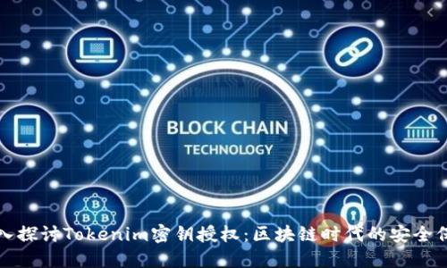 深入探讨Tokenim密钥授权：区块链时代的安全保障