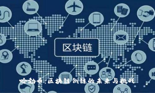 哈勃币：区块链侧链的未来与挑战