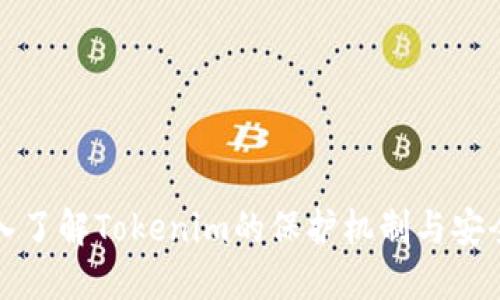 深入了解Tokenim的保护机制与安全性