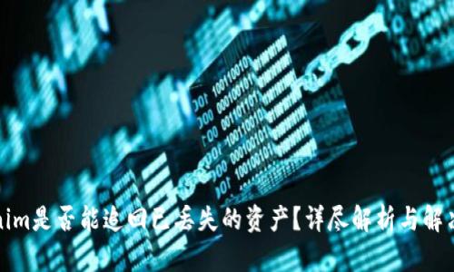 Tokenim是否能追回已丢失的资产？详尽解析与解决方案