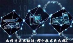 比特币与区块链：哪个技